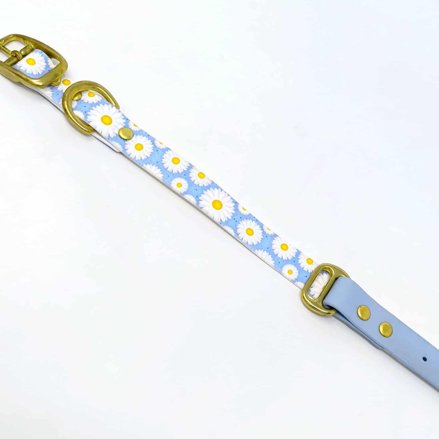 Collier « Marguerite » en Biothane – Motif fleuri, couleur au choix