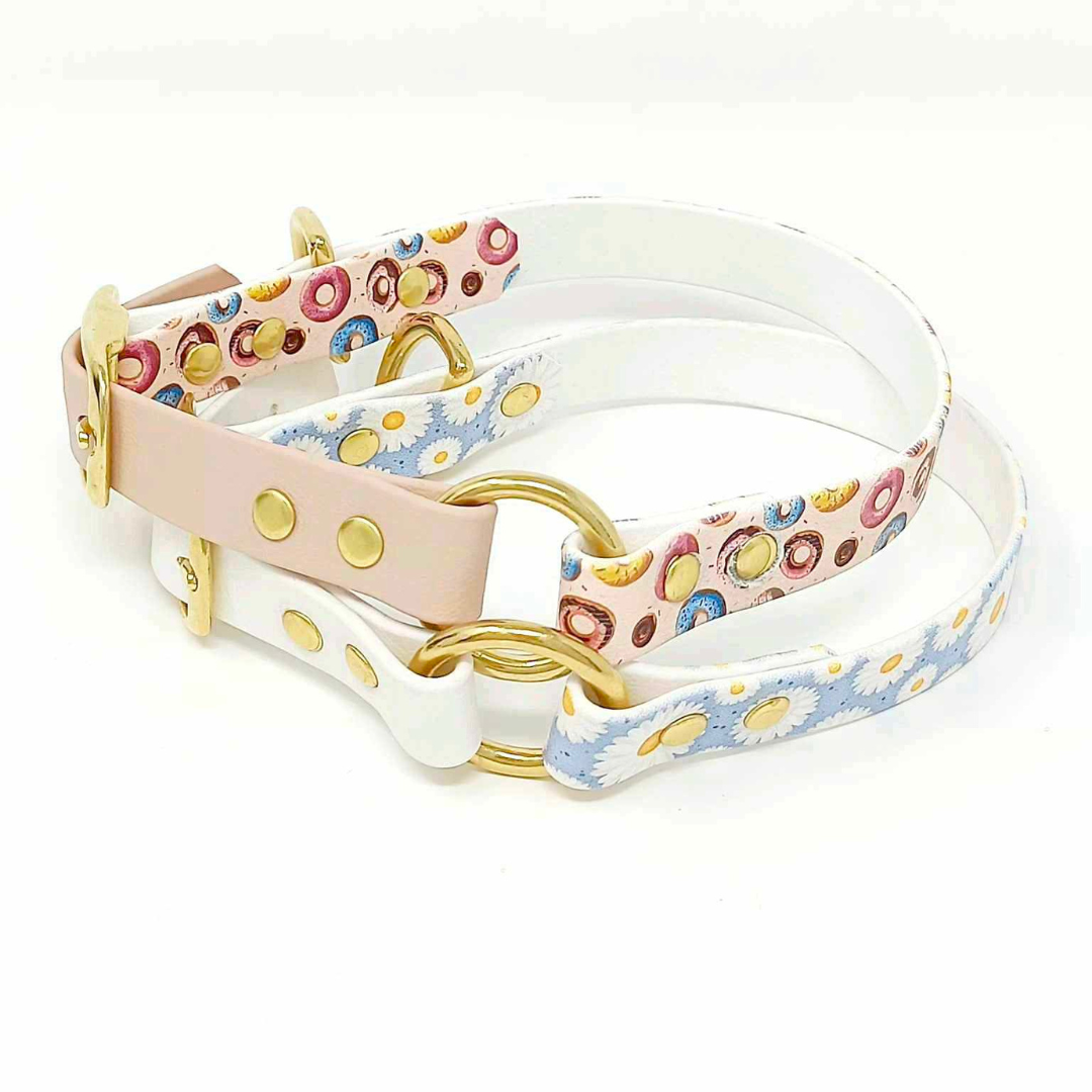 Bien choisir les accessoires pour son chien : le guide ultime 🐶✨