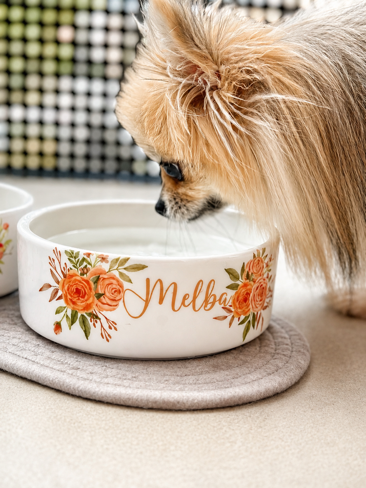 Gamelles personnalisées pour chiens & chats.
