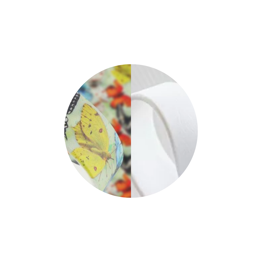 Collier « Papillon » en Biothane – Motif coloré, couleur au choix