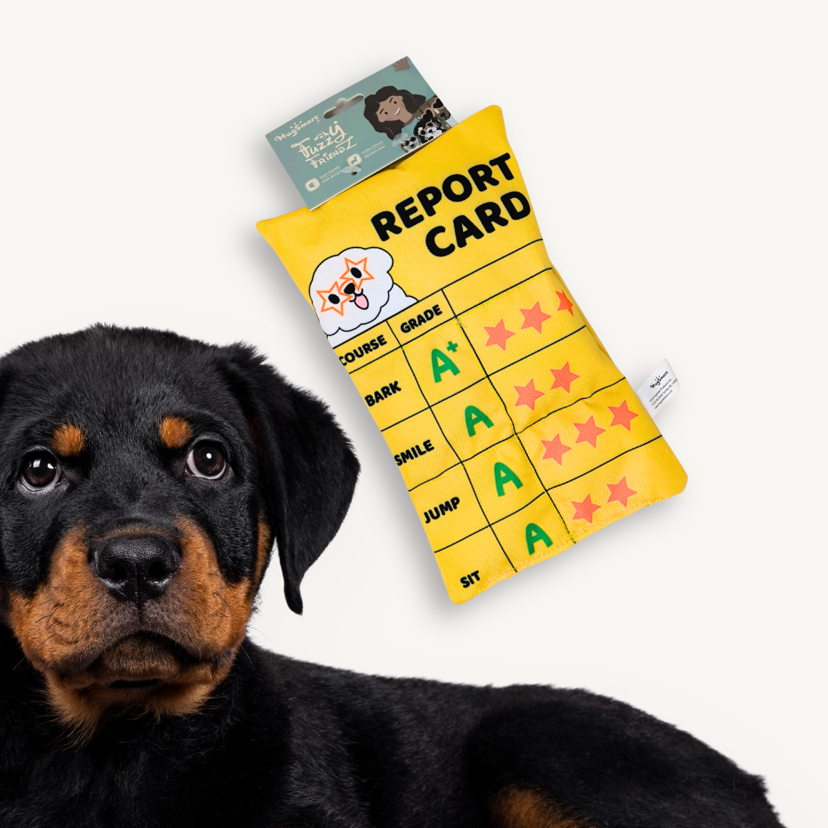 🟨 Jouet pour chien « Report Card » – coussin sonore éducatif