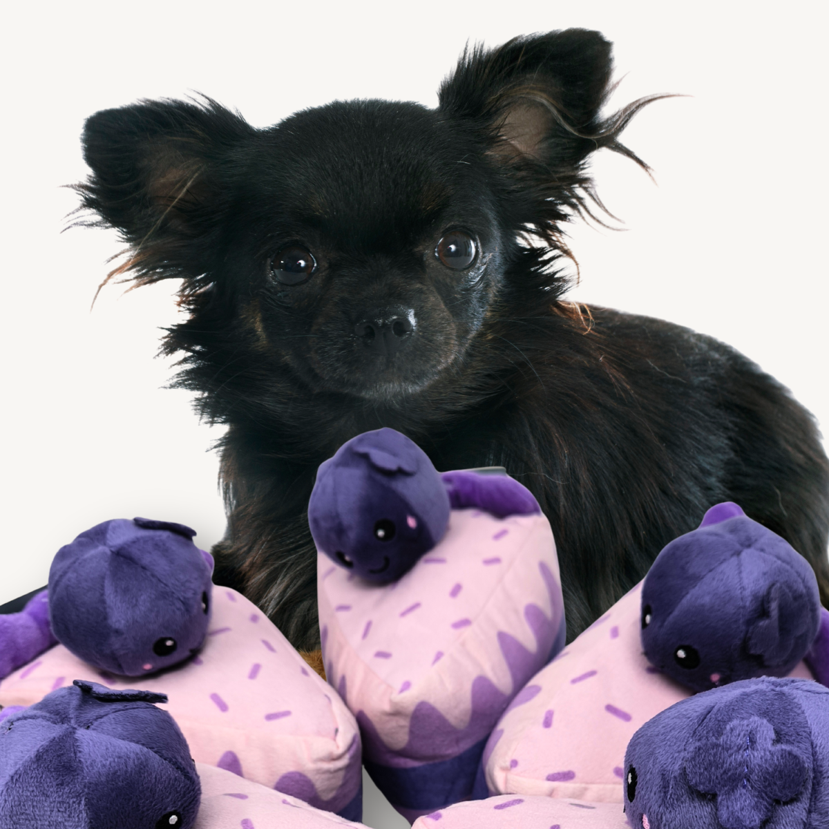 🍰 Jouet fun pour chien – Doudou gâteau violet ultra mignon 🐾