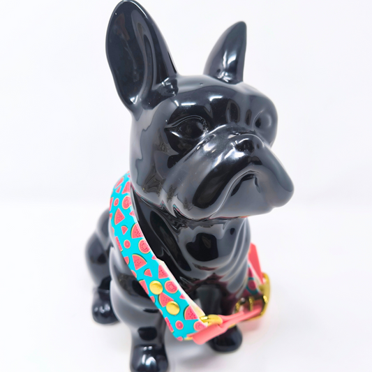 Collier « Pastèque » en Biothane – Motif fruité, couleur au choix