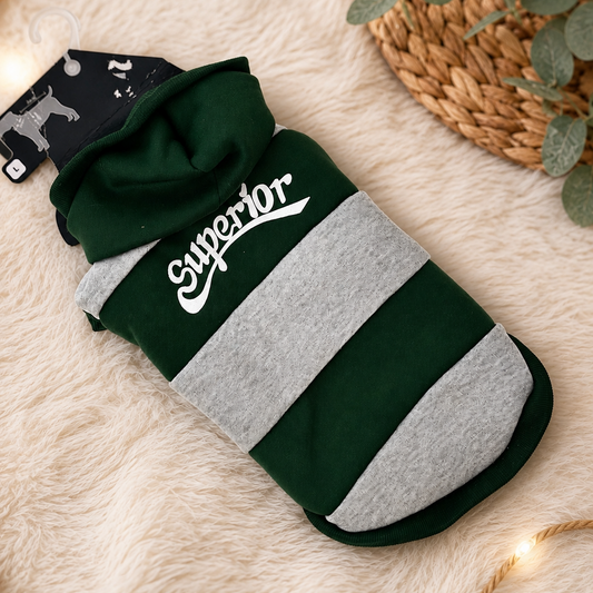 🐾 Petit sweat à capuche pour chien – DÉSTOCKAGE