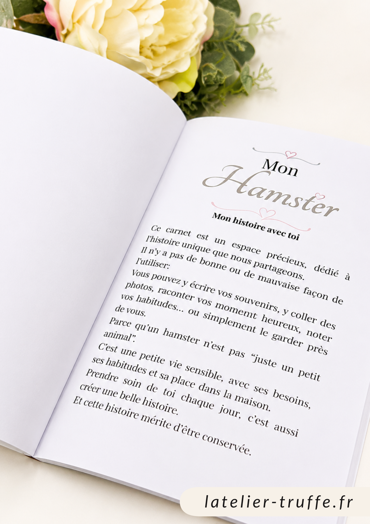 Mon Hamster – Livret souvenir à compléter 🐹