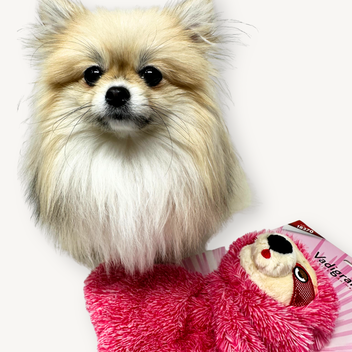 VADIGRAN – Jouet chien peluche Crinkie paresseux 26cm