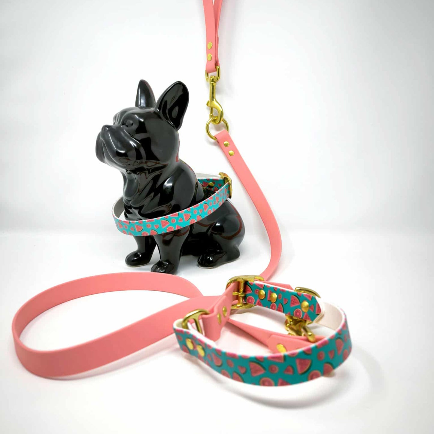 Collier « Pastèque » en Biothane – Motif fruité, couleur au choix