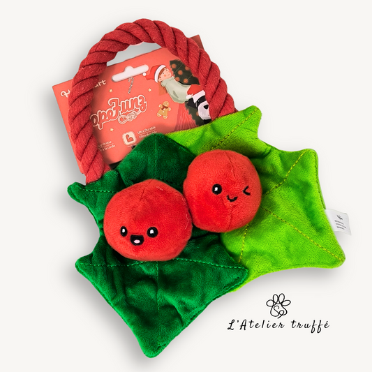 🎄 Jouet pour chien « Houx de Noël » – corde & peluche