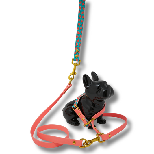✨ Ensemble premium collier & laisse poignée interchangeable Biothane® – Edition Pastèque & Corail