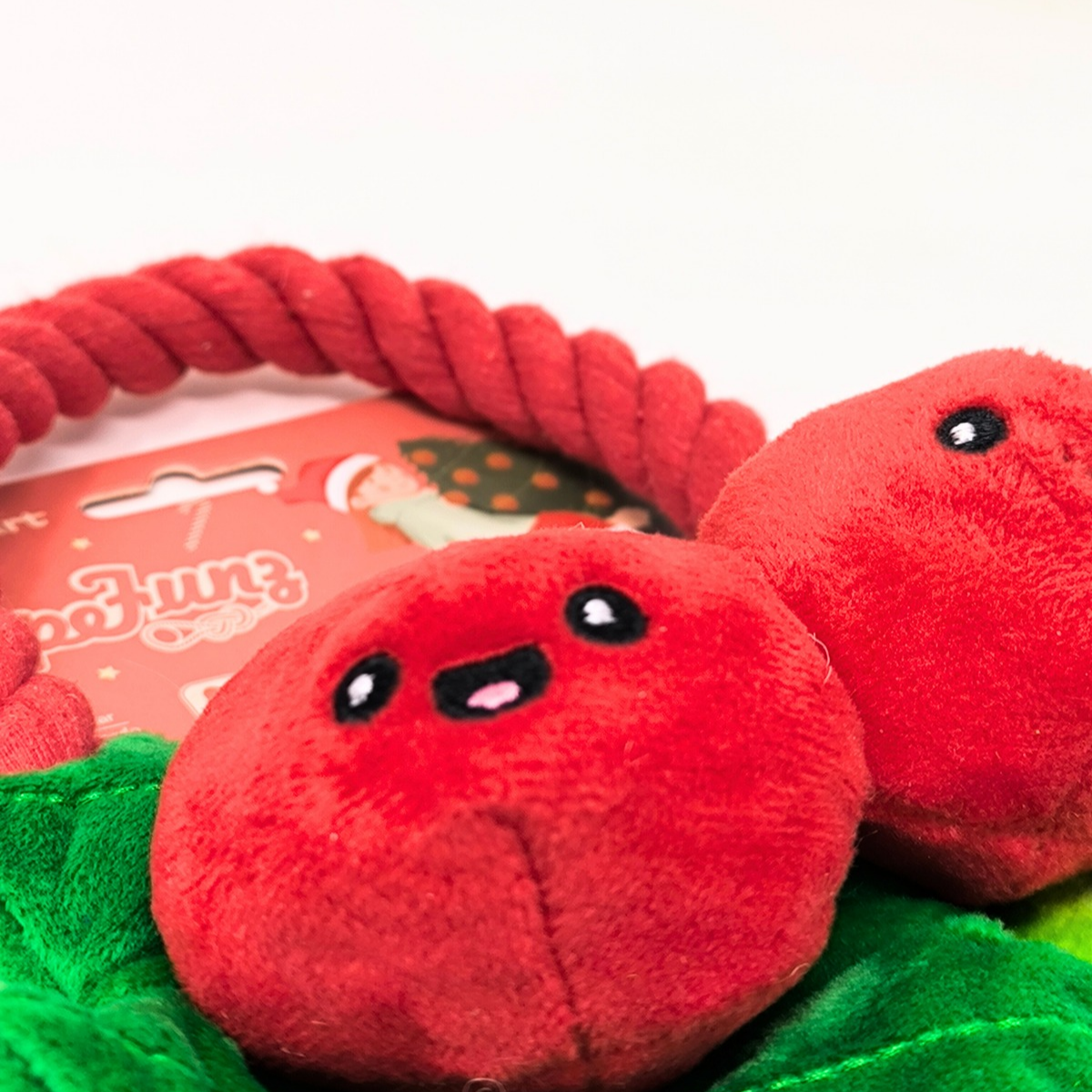 🎄 Jouet pour chien « Houx de Noël » – corde & peluche