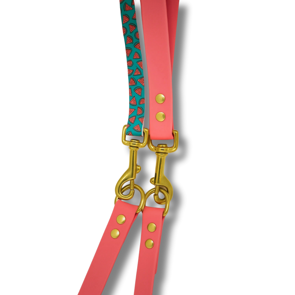 ✨ Ensemble premium collier & laisse poignée interchangeable Biothane® – Edition Pastèque & Corail