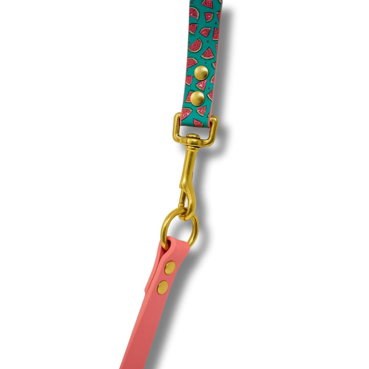 ✨ Ensemble premium collier & laisse poignée interchangeable Biothane® – Edition Pastèque & Corail